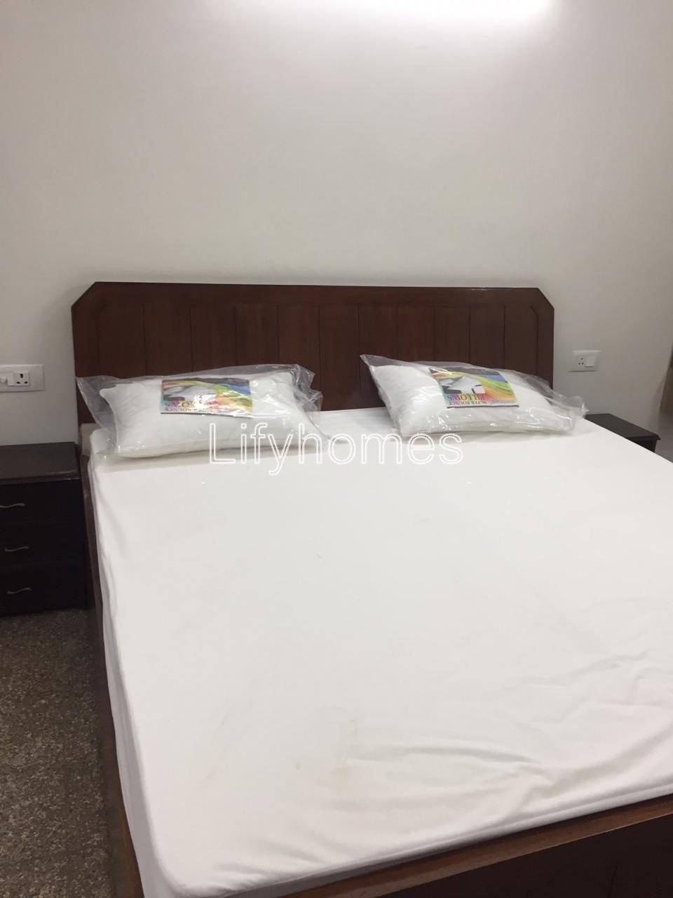 1 BHK RK/Studio Apartment For Rent in Sector 43, Gurgaon — photo 4