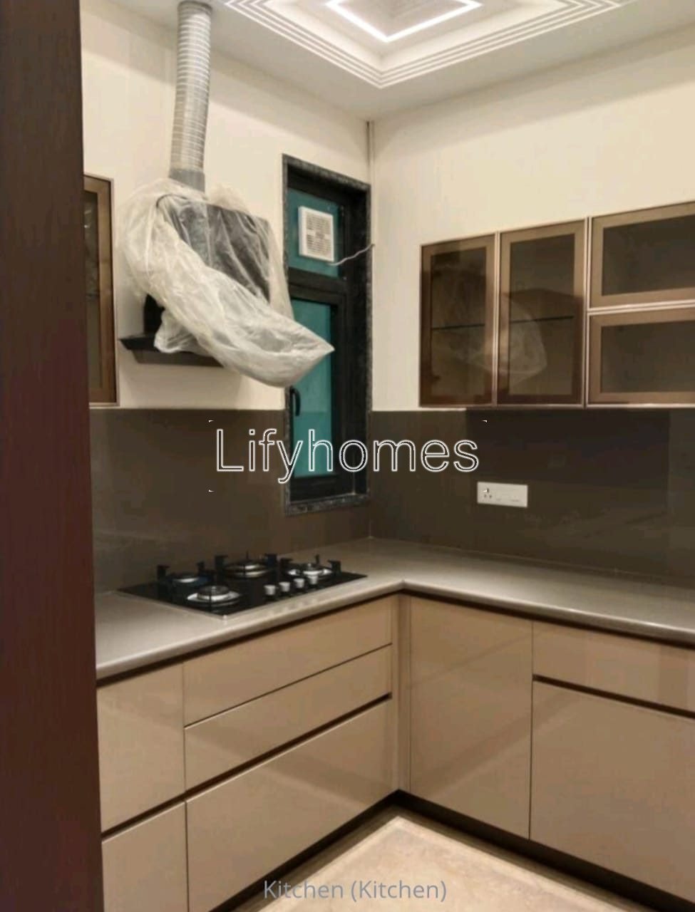 3 BHK Builder Floor For Rent in DLF Phase 2, Gurgaon — photo 4