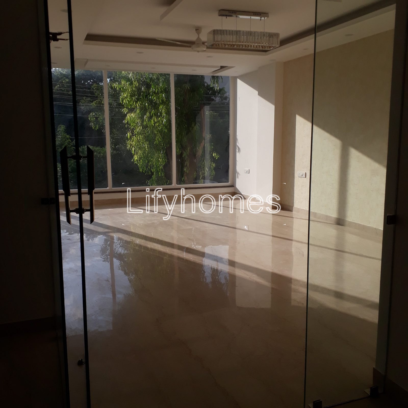 4 BHK Builder Floor For Rent in DLF Phase 2, Block-M, Gurgaon