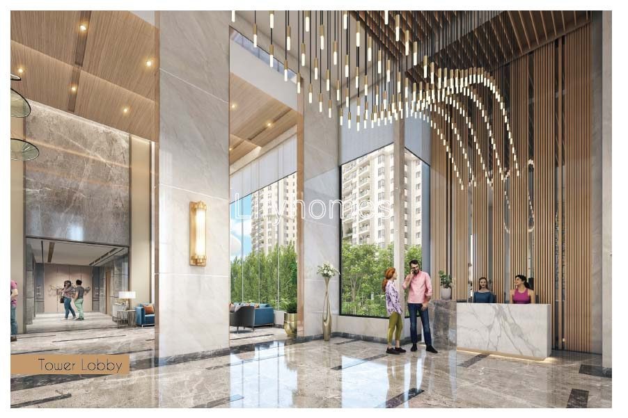 Tulip Monsella