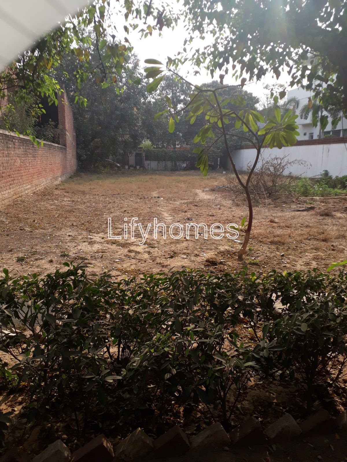 Residential Plot For Sale in DLF Phase 2, Gurgaon