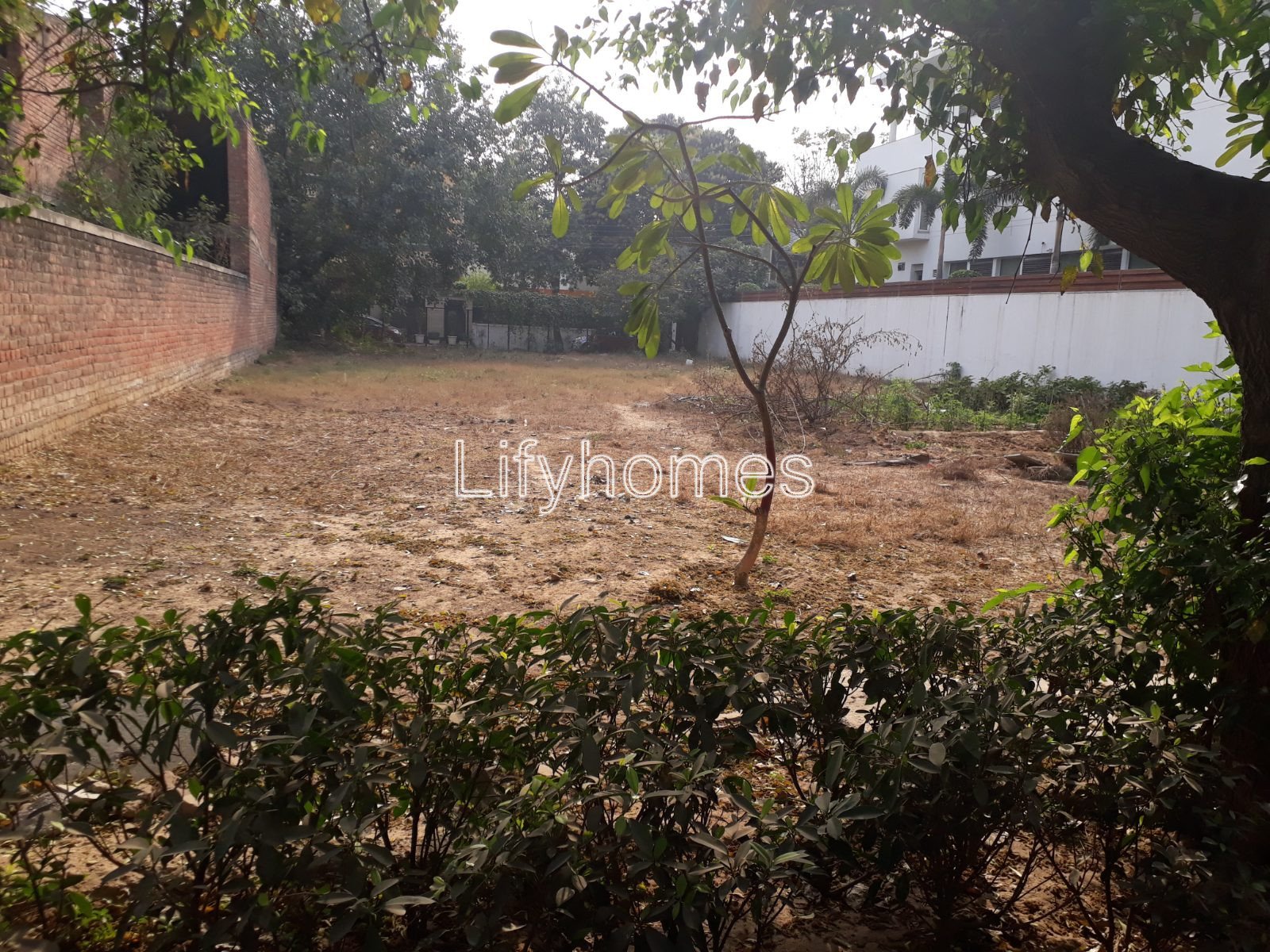 Residential Plot For Sale in Greenwood City, Block A, Gurgaon — photo 2