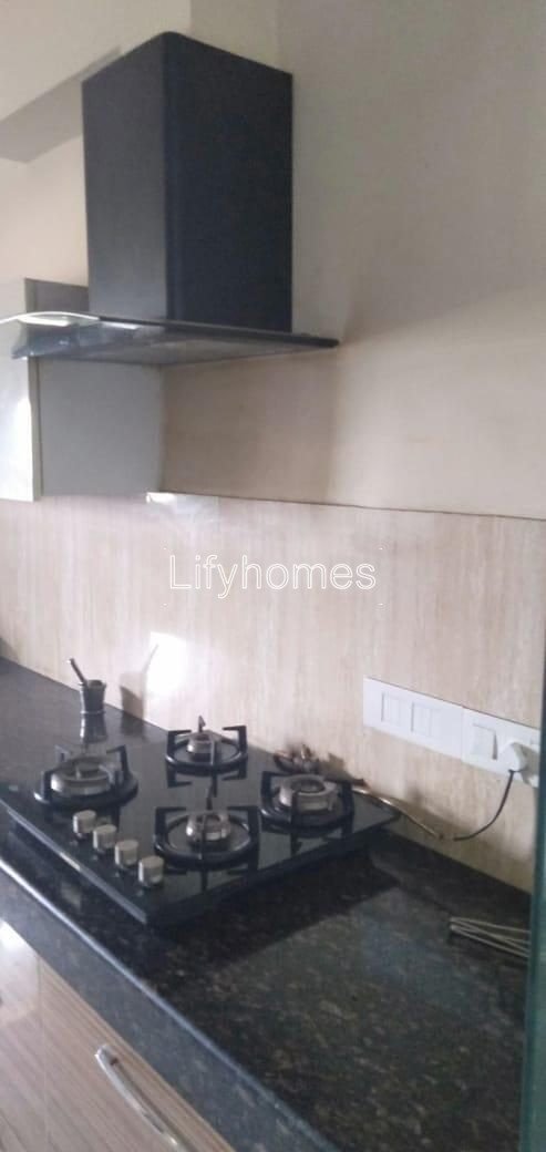 4 BHK Flat/Apartment For Rent in Rainbow Apartments, Sector 43, Gurgaon — photo 3