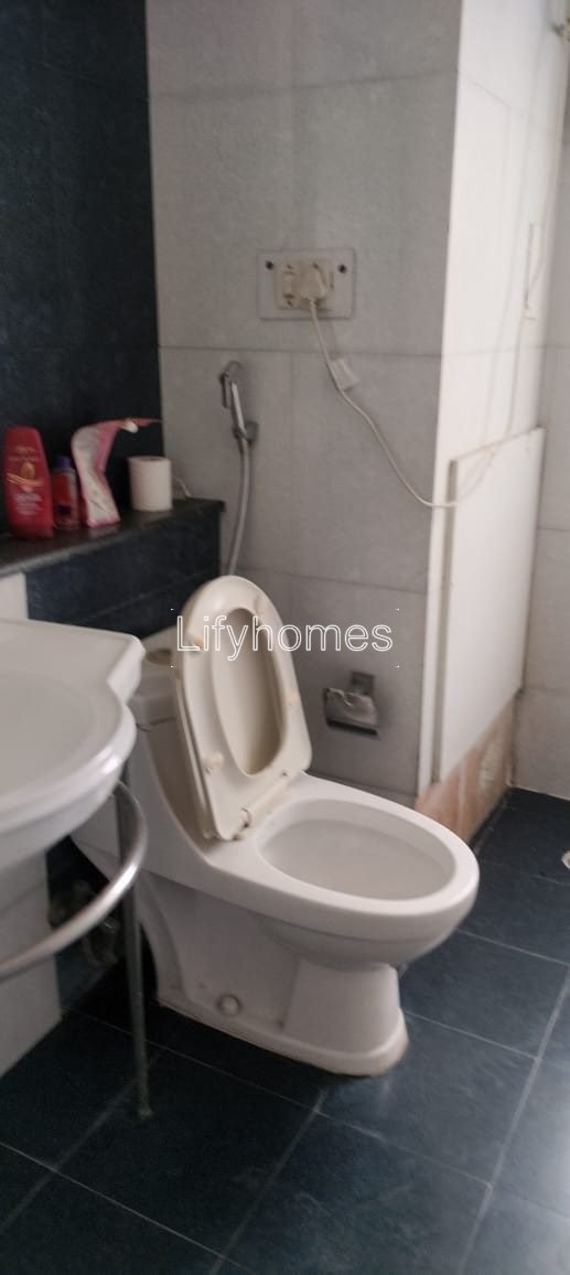 2 BHK Flat/Apartment For Rent in Dlf Silver Oaks, DLF Phase 1, Dlf Qutub Plaza, Gurgaon — photo 4