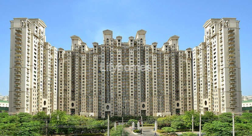 3 BHK Flat/Apartment For Rent in Dlf Hamilton court, Sector 27, Dlf city phase 4, Gurgaon